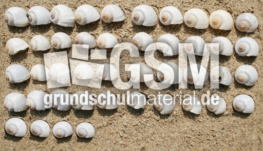 Schneckenhäuser-44.jpg